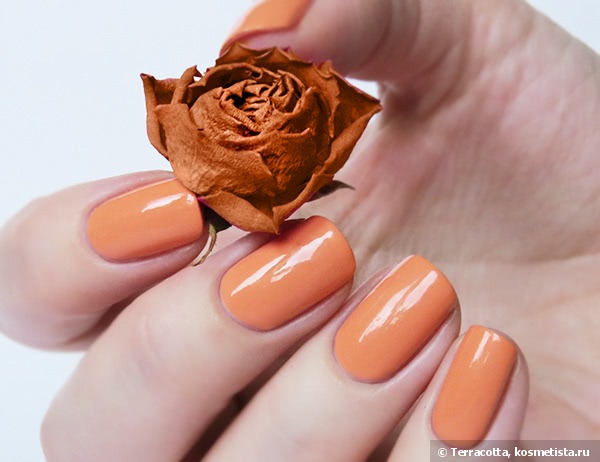 China Glaze Nail Lacquer With Hardeners 868 Peachy Keen