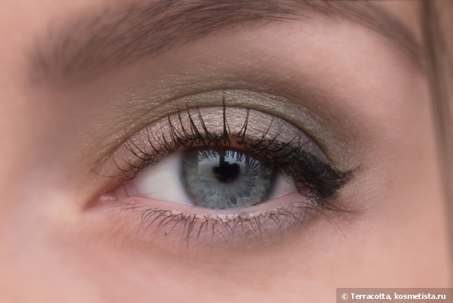Первое разочарование в люксе - Dior 5 Couleurs Couture Eyeshadow Palette 454 Royal Kaki