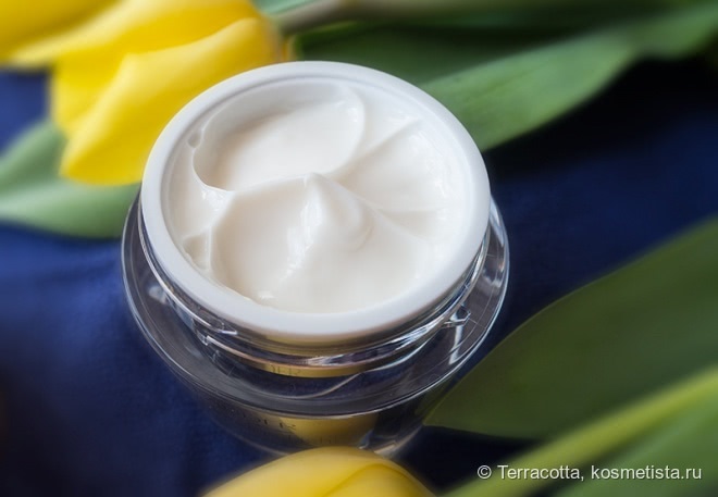 Estee Lauder Revitalizing Supreme Light Global Anti-Aging Creme