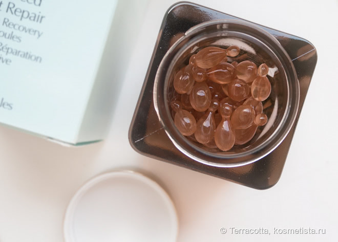 Процесс восстановления запущен... Estee Lauder Advanced Night Repair