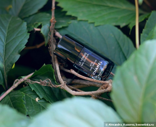 Chanel Vert Obscur №679