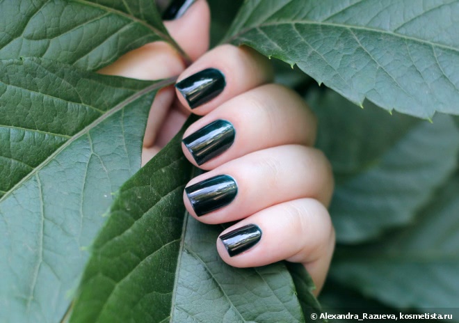 Chanel Vert Obscur №679