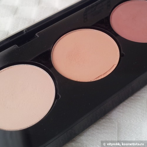 Make-Up Atelier Paris Eyeshadow Palette T19 Bois De Rose