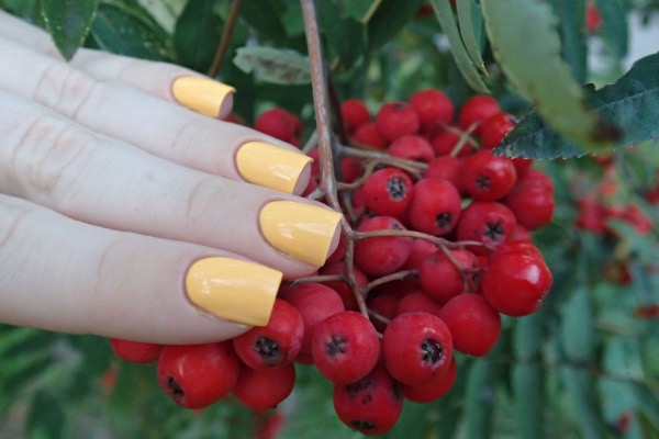 China Glaze Nail lacquer with hardeners 81767 Metro pollen-tin