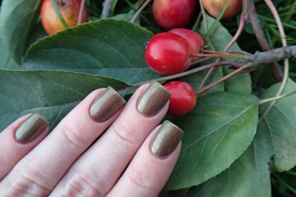 China Glaze Nail lacquer with hardeners 81858 Mind the gap