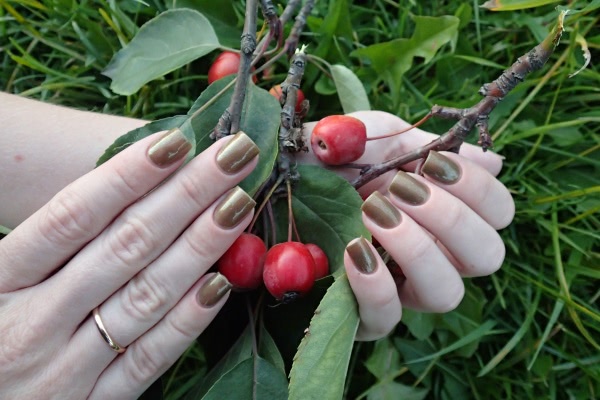 China Glaze Nail lacquer with hardeners 81858 Mind the gap
