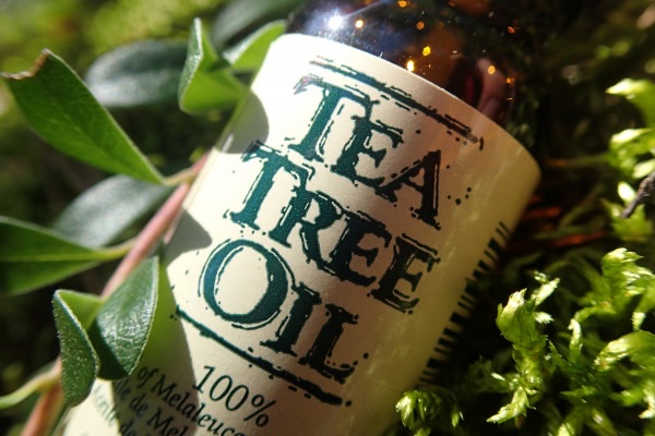 Масло чайного дерева Gena Tea tree oil