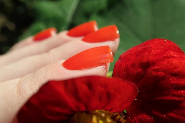 Essie Nail Polish 66 Clambake