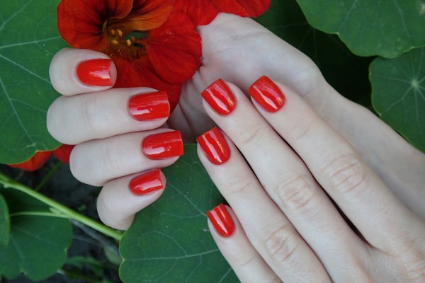 Essie Nail Polish 66 Clambake