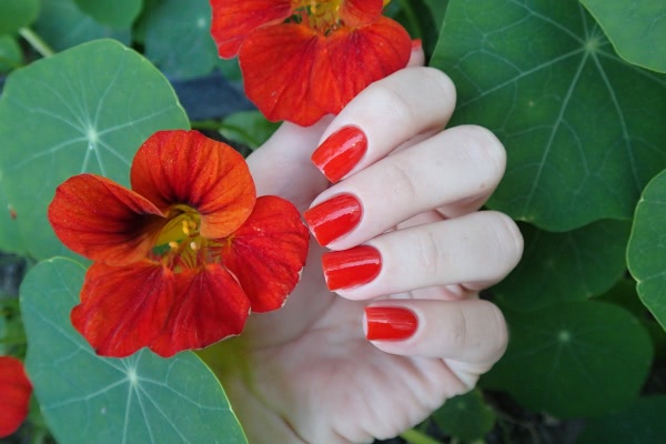 Essie Nail Polish 66 Clambake