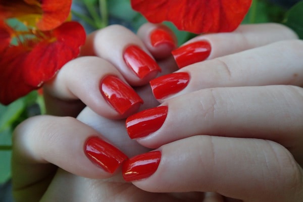 Essie Nail Polish 66 Clambake