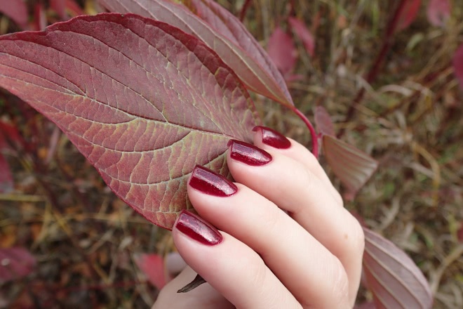 China Glaze Nail Lacquer with Hardeners 80316 Stroll