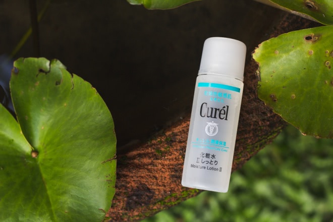 Молочко и лосьон Curel (Kao KAO Curel Moisture Lotion II и KAO Curel Moisture Face Milk)