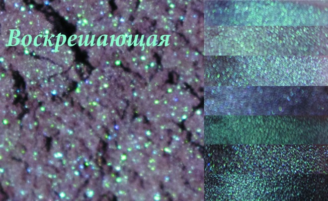 Восемь оттенков