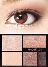 Услада для глаз. Палетка теней Shiseido Maquillage True Eye Shadow BR722