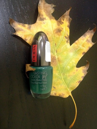 Pupa Lasting Color Gel Glass Effect Nail Polish №058