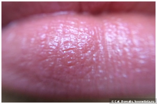 4 антидота для приунывшего помадоманьяка: YSL Kiss & Blush #9, Chanel Rouge Allure Gloss #16, Shiseido Lacquer Rouge RS 727 и Dior Rouge Dior Baume #640