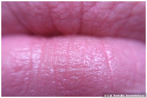 4 антидота для приунывшего помадоманьяка: YSL Kiss & Blush #9, Chanel Rouge Allure Gloss #16, Shiseido Lacquer Rouge RS 727 и Dior Rouge Dior Baume #640