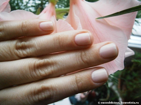 Revlon Colorstay Longwear Nail Enamel #020 Pale Cashmere