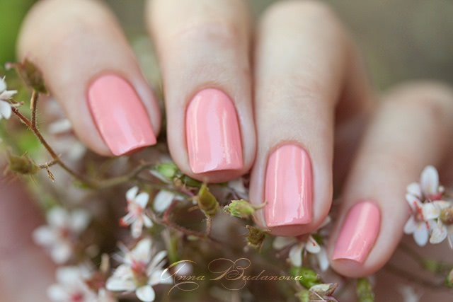 NailLOOK 31396 Wild Daisy + стемпинг с диском BP-56