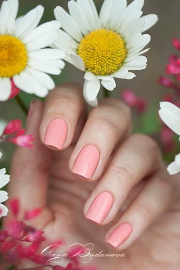 NailLOOK 31396 Wild Daisy + стемпинг с диском BP-56