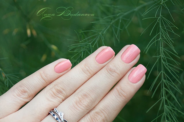 NailLOOK 31396 Wild Daisy + стемпинг с диском BP-56