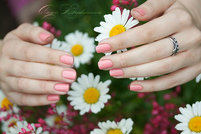 NailLOOK 31396 Wild Daisy + стемпинг с диском BP-56