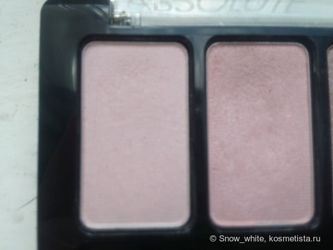 Catrice Eyeshadow Palette Absolute Rose 010 Frankie Rose To Hollywood