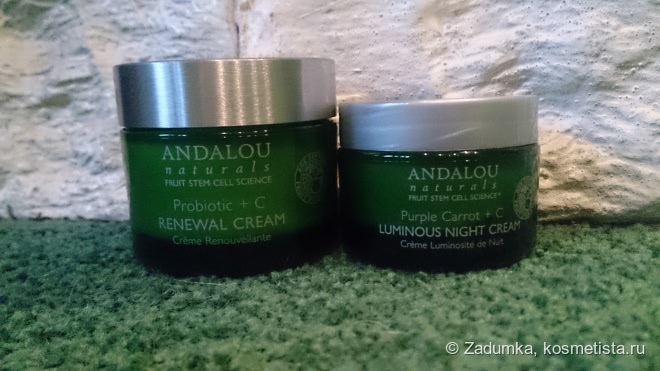 Пробиотики не только для животиков! Крем Andalou Naturals, Renewal Cream, Probiotic + C, Brightening