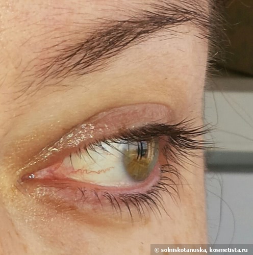 Новая любимица Shiseido Perfect Mascara Full Definition BK 901