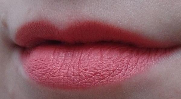Устойчивая матовая помада Seventeen Matte Lasting Lipstick #19