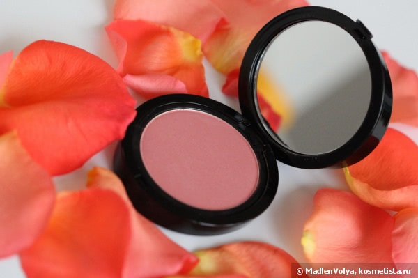 Giorgio Armani Cheek Fabric Sheer Blush Blush Transparent #504 Intimate