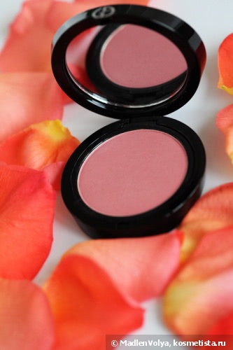 Giorgio Armani Cheek Fabric Sheer Blush Blush Transparent #504 Intimate