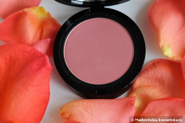 Giorgio Armani Cheek Fabric Sheer Blush Blush Transparent #504 Intimate