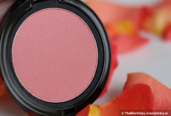 Giorgio Armani Cheek Fabric Sheer Blush Blush Transparent #504 Intimate