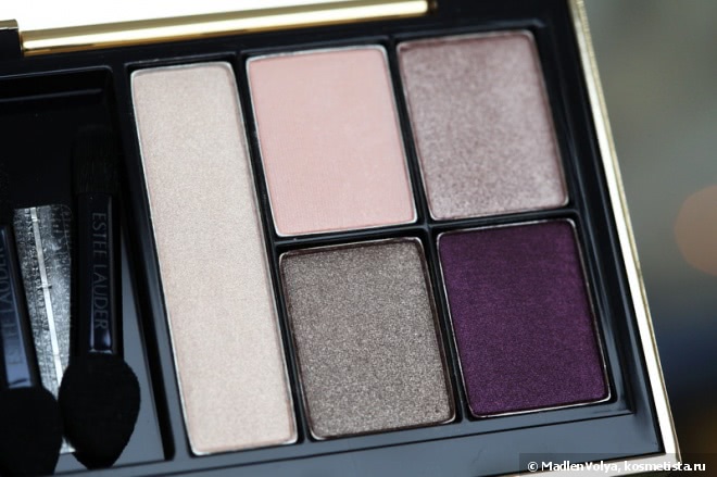 Estee Lauder Pure Color Envy Sculpting EyeShadow 5-Color Palette 06 Currant Desire