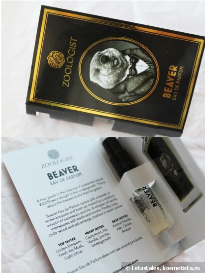 Дикие ароматы из Торонто: носорог, панда и бобер от Zoologist Perfumes