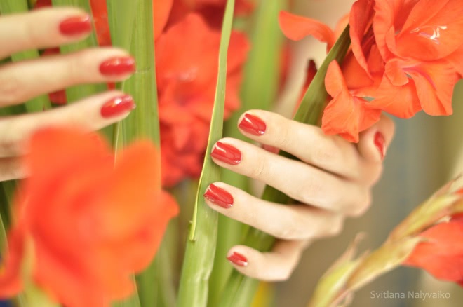 Лак для ногтей Nogotok Style Color в оттенке 028