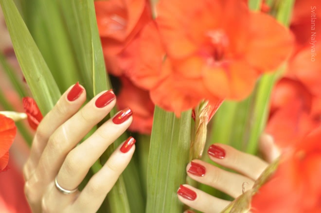 Лак для ногтей Nogotok Style Color в оттенке 028