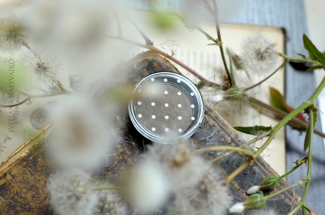 Бронзовая патина. Устойчивые моно-тени для век Vivienne Sabo Paris Petite Jeux Eye Shadow Longlasting в оттенке 117