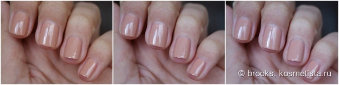 Golden Rose Rich Color Nail Lacquer #10