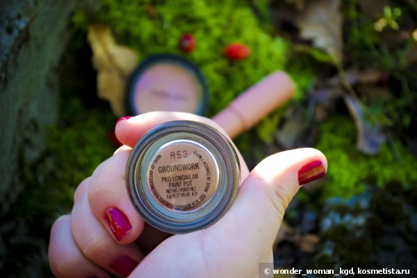 Два любимчика и одно по настоящему осеннее разочарование...MAC Pro Longwear Paint Pot groundwork dupe, Inglot Face Blush 40,Revlon Colorburst Matte Balm, Complex 230