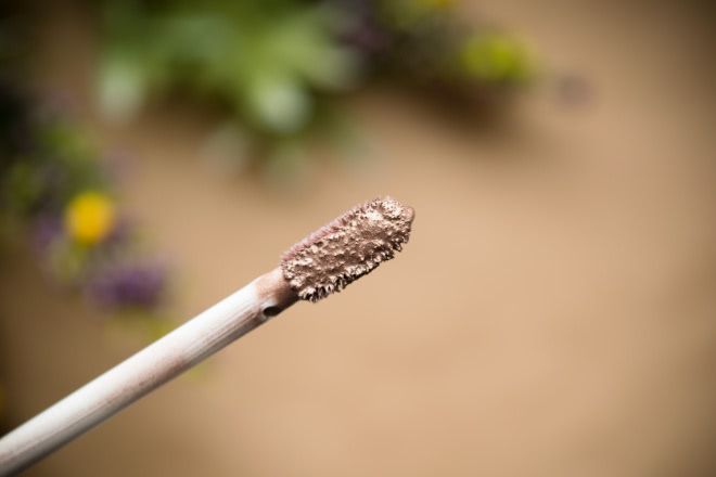 Неоднозначно красивая весна от Inglot