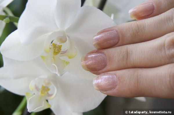 EL Corazon Active Bio-gel Color gel polish Shimmer №423/13, №423/16, №423/18