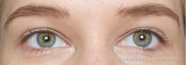 Тушь для бровей Eyebrow Corrector Eveline Cosmetics