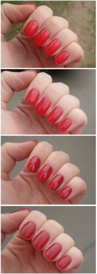 Солнечная магия Ruby wings Cypress