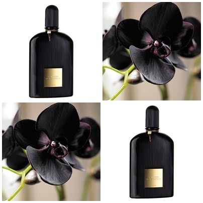 Black Orchids [1922]