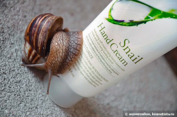 Летом улитки ползают по рукам с 3w Clinic Snail hand cream