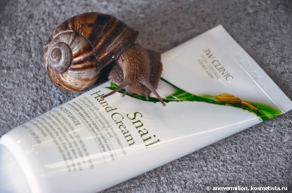 Летом улитки ползают по рукам с 3w Clinic Snail hand cream