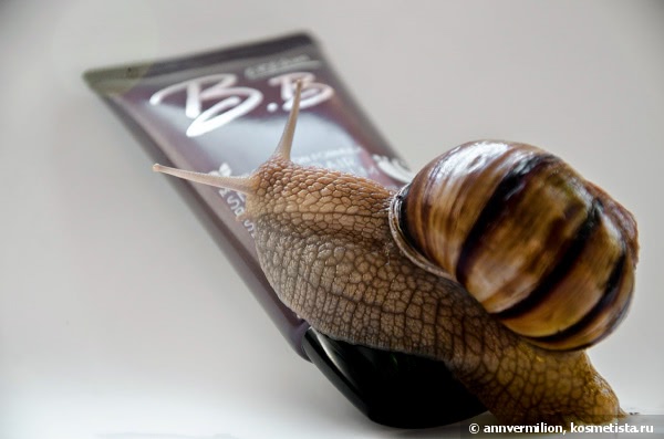 И снова я со своими улитками! Mizon Snail Repear Blemish Balm cream SPf32/PA ++